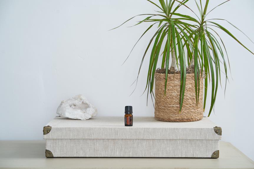 Moroccan Argan Oil for Stretch Marks