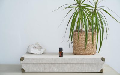 Argan Oil as Moroccan Beauty Staple