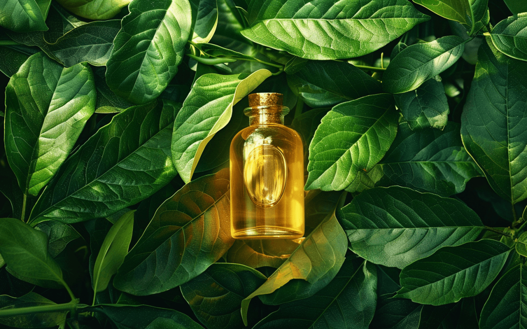 Enhancing Skin With Argan Oil Vitamin E