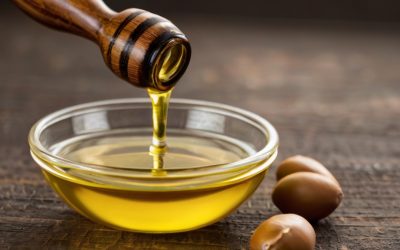 Argan Nut Cracking and Oil Extraction 15 Indigenous Knowledge on Argan Oil Benefits