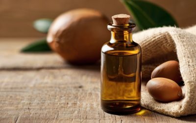 Argan Nut Cracking and Oil Extraction 19 Local Wisdom on Argan Oil Purity