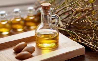 Argan Nut Cracking and Oil Extraction 12 High Vitamin E Argan Oil Brands
